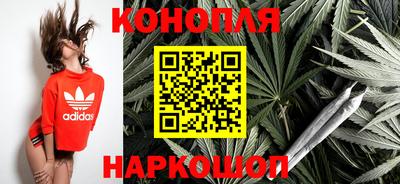 mdpv Краснознаменск